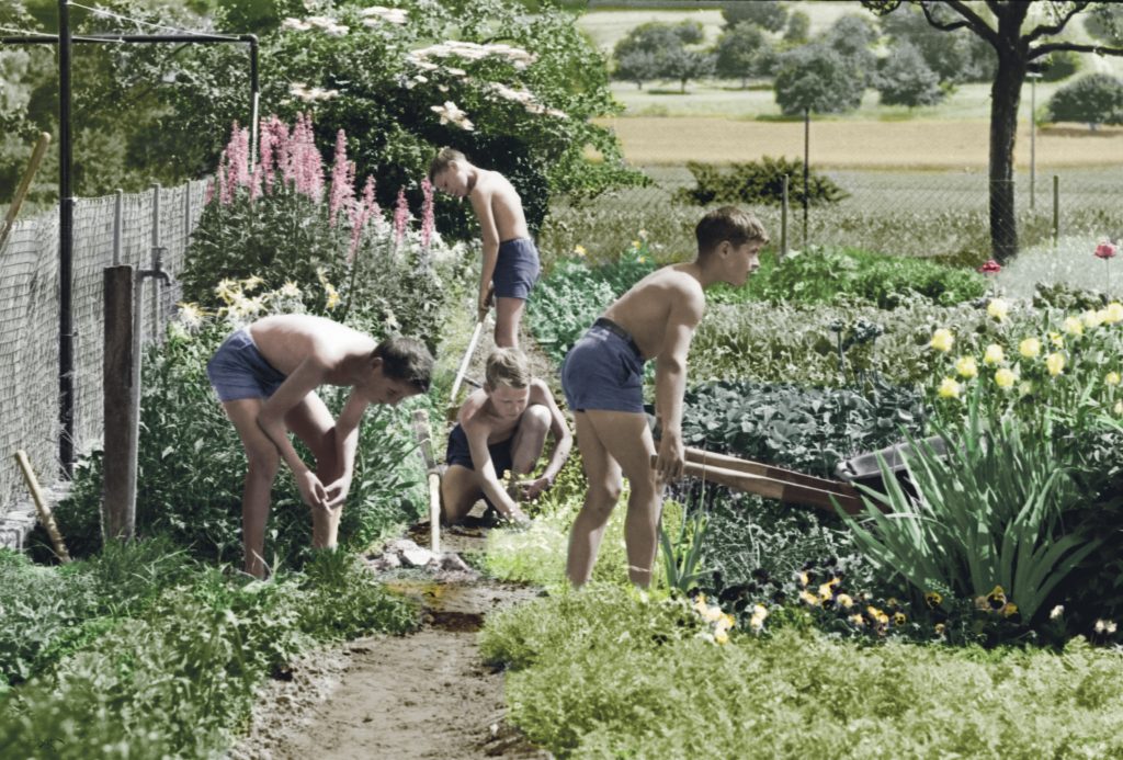 Friedeck-Zöglinge 1966 bei der Arbeit auf dem Feld, Aufnahme von Bruno + Eric Bührer, Stadtarchiv Schaffhausen, koloriert von Robin Kohler