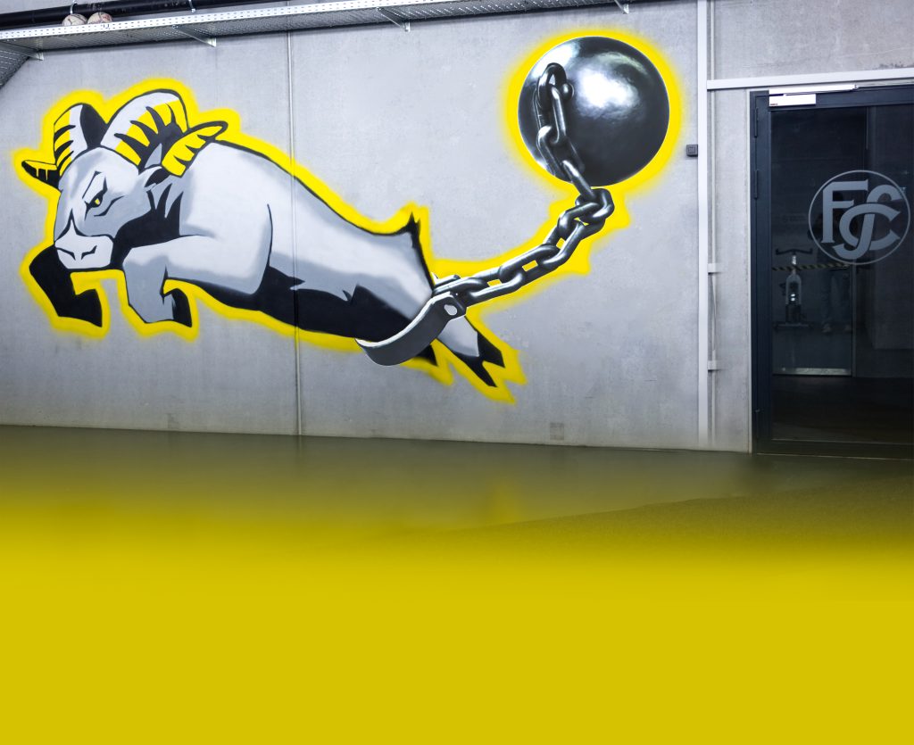 Bildmontage: Noëlle Schönauer