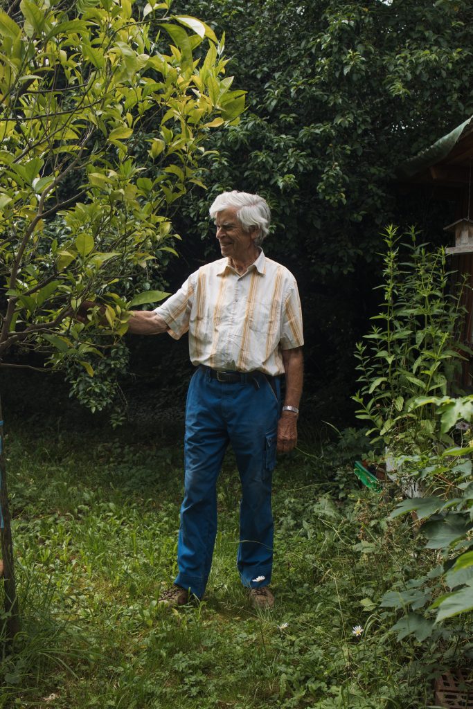 Das älteste Gewächs in Uehlingers Garten und sein ganzer Stolz ist der selbstgezogene, 70-jährige Orangenbaum. Foto: Robin Kohler