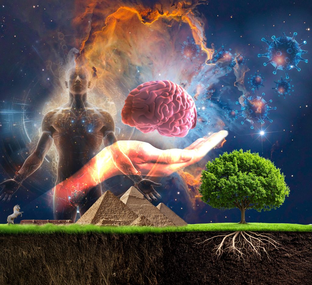 Montage: Robin Kohler