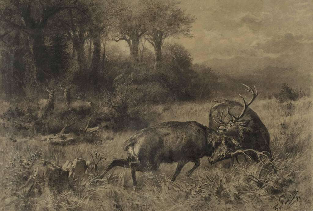 Revierkampf zwischen Platzhirsch Samuel Gründler und dem Staatsbetrieb SH Power. Bild: picryl.com / Franz von Pausing