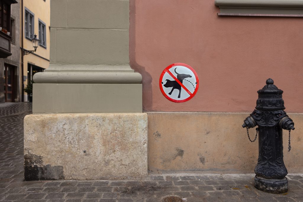 Das Stadthaus: Teil des Reviers von Spürhund Fiko. Montage: Robin Kohler