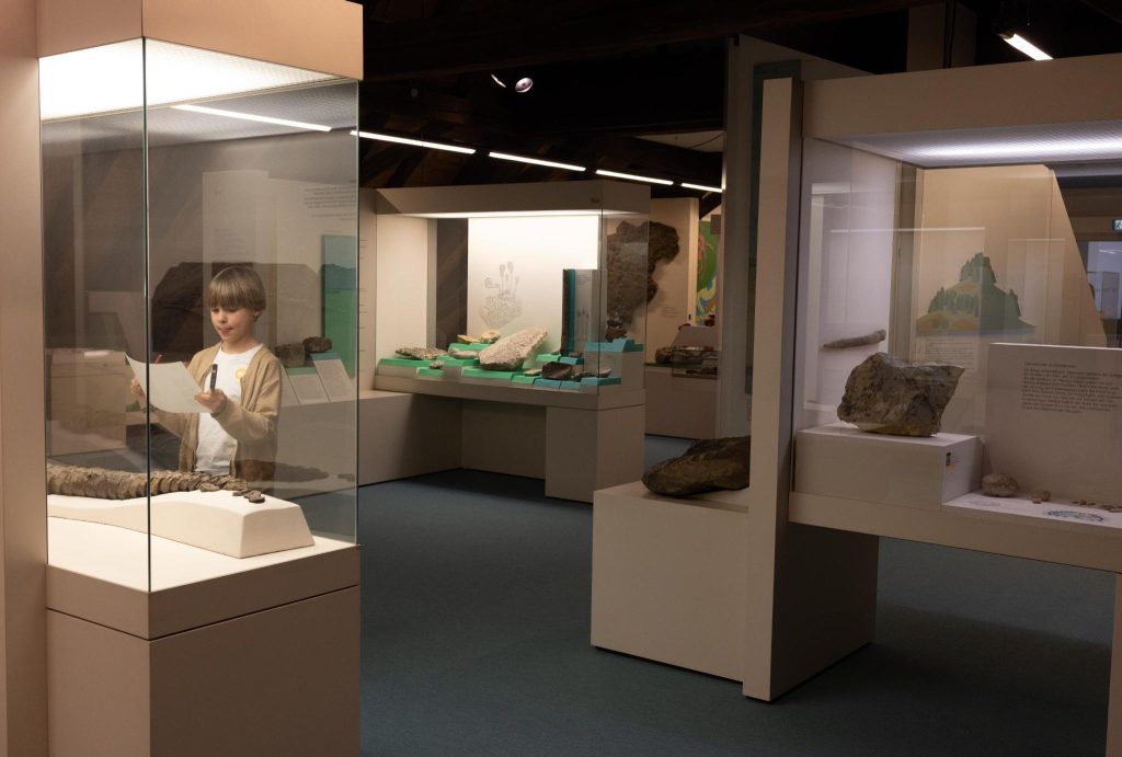 Alte Pädagogik für junge Geister: Die naturhistorische Ausstellung im Allerheiligen hat sich über 40 Jahre nicht bewegt. Fotos: Robin Kohler