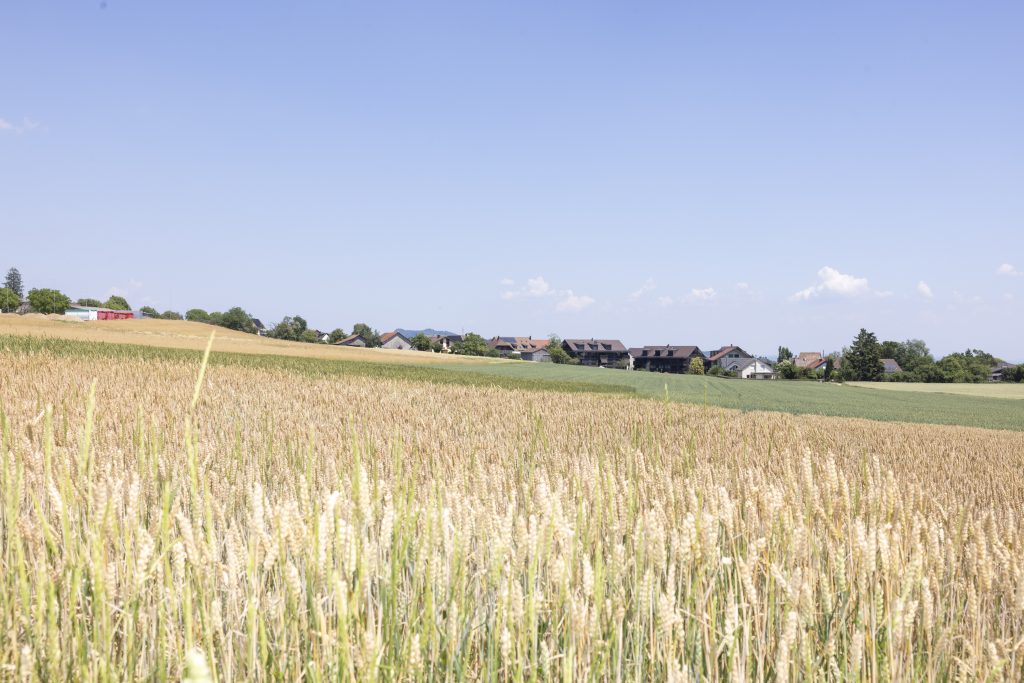 Eine Asylquote von 0,0 Prozent: Damit steht das Dörfchen Büttenhardt im ganzen Kanton allein da. Foto: David Schelker